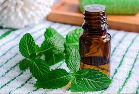 ন্যাট্রাম মিউরিয়াটিকাম (Natrum Muriaticum): আবেগ ও স্নায়ুবিক চাপ নিয়ন্ত্রণের হোমিওপ্যাথিক ঔষধ