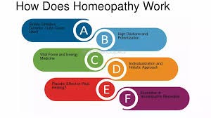 প্রশ্ন–উত্তর: হোমিওপ্যাথি নিয়ে সাধারণ ও গুরুত্বপূর্ণ জিজ্ঞাসা